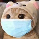 QQ头像