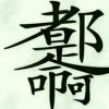 河南网友10536