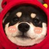 看你有好拽头像