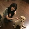 河南网友50544