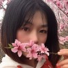 贵州网友96567