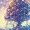 西藏网友68076