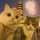 QQ头像