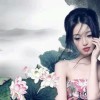 甘肃网友67618