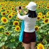 江西网友80420