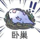 QQ头像