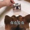 评论头像