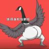 评论头像