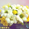 天津网友23258
