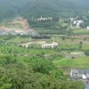 北京网友10194