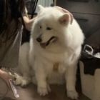 QQ头像