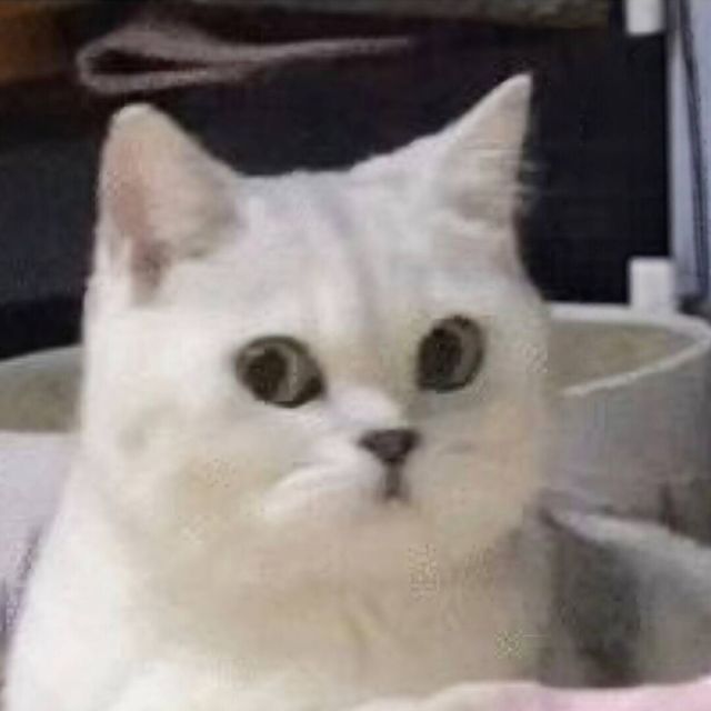 QQ邮箱头像