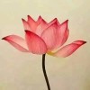 江西网友36694