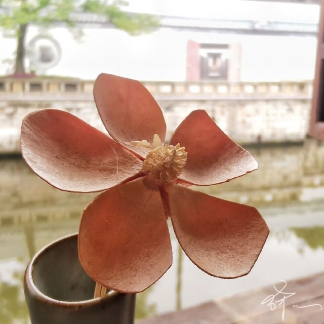 QQ邮箱头像