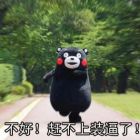 QQ头像