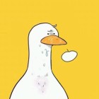 QQ头像
