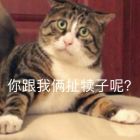 QQ头像