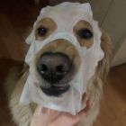 QQ头像