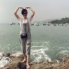 海南网友82017