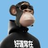 广西网友13379