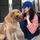 QQ头像