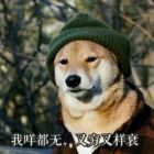 QQ头像