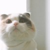 辽宁网友94765