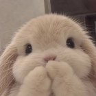 QQ头像