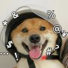 评论头像