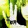 黑龙江网友38946