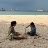 澳门网友11170