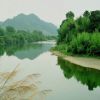 浙江网友90087