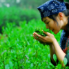 包9中%花酷