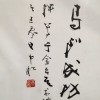 辽宁网友48538