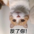 QQ头像