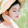 辽宁网友11601