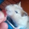 评论头像