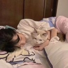 QQ头像