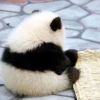 bxb666的头像-Xyner