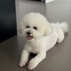 QQ头像