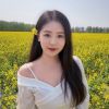 河南网友85080