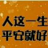 辽宁网友66223