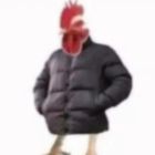 QQ头像
