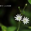 广东网友12720