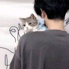 QQ头像
