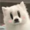 评论头像