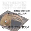评论头像