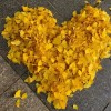 网友昵称：zblog站群程序