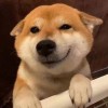 的怪叫仓库