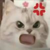 laoyewonen